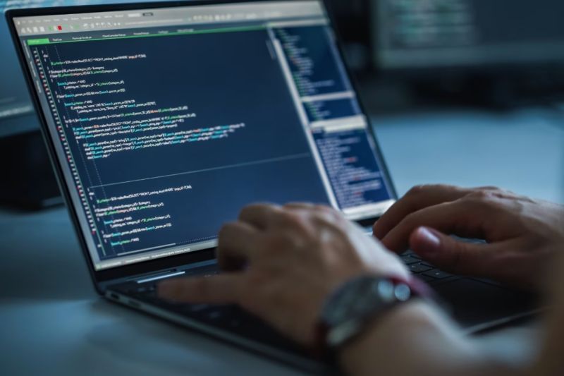 新田县软件定制开发公司：Python助力，构建核心竞争力